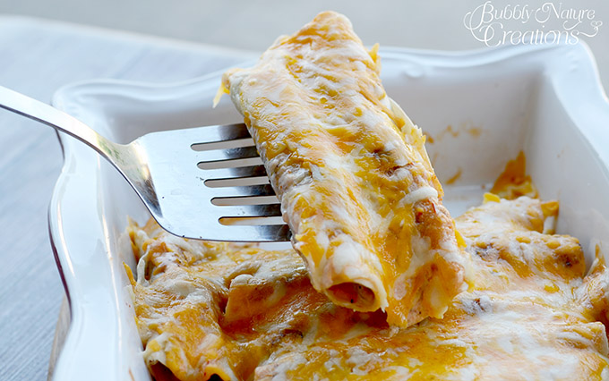 Chicken-Bacon-Ranch-Enchiladas-A-great-change-from-traditional-enchiladas