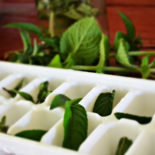 Reduce food waste when you save Fresh Herbs in Ice Cube Trays and freeze for later use; perfect in drinks, broths, or added to your favorite recipes.