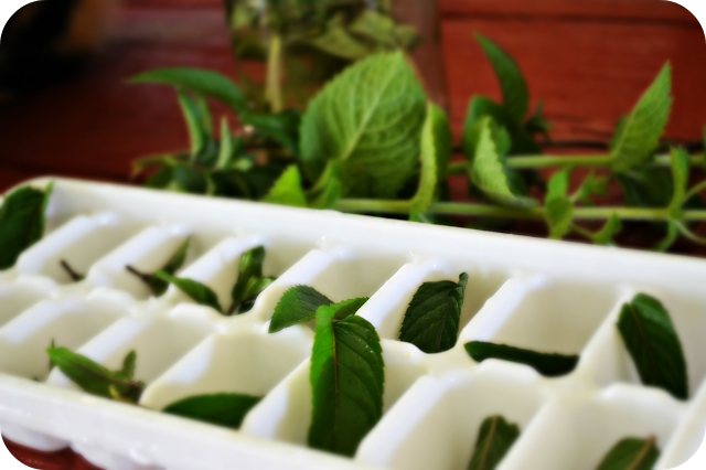 Kitchen Hack: Preserve Fresh Herbs in Ice Cube Trays