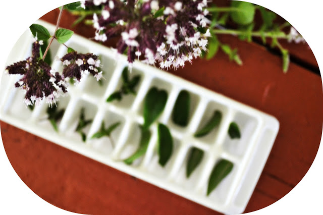 Reduce food waste when you save Fresh Herbs in Ice Cube Trays and freeze for later use; perfect in drinks, broths, or added to your favorite recipes. 
