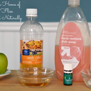 Rid your kitchen and home of fruit flies simply and naturally #KitchenHack #SoFabFood