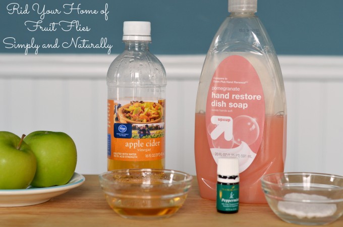 Rid your kitchen and home of fruit flies simply and naturally #KitchenHack #SoFabFood