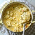 Cajun Chicken Pasta Casserole/ Aimee Broussard for SoFab Food