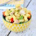 You will love celebrating National Picnic Month in style when you serve these five crowd-pleasing Pasta Salad Recipes made with fresh ingredients.
