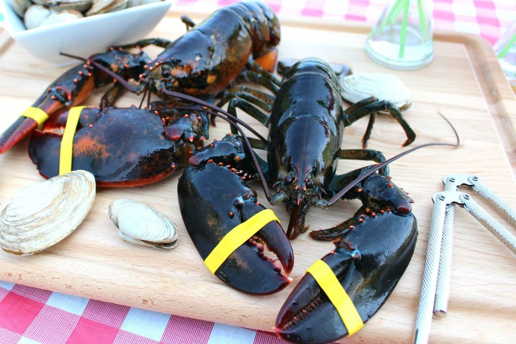 Enjoy a restaurant-quality lobster dinner at home when you learn how to choose lobster and steam lobster perfectly depending on its weight. You're just 15 minutes away from a seafood feast!