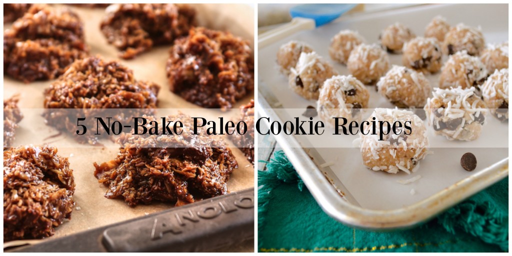 5 No Bake Paleo Cookies