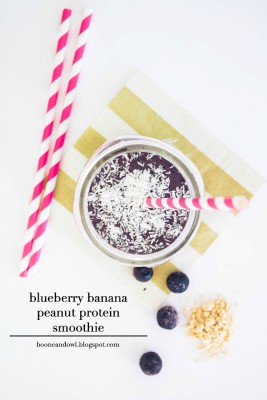 Low Fat Blueberry Banana Peanut Protein Smoothie