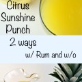 Citrus Sunshine Punch ~ Every garden or outdoor party is made brighter and sweeter with this Citrus Sunshine Punch, a combination of three fruit juices and lemon-lime soda, plus a spiked version for the over 21 set ~ The Complete Savorist