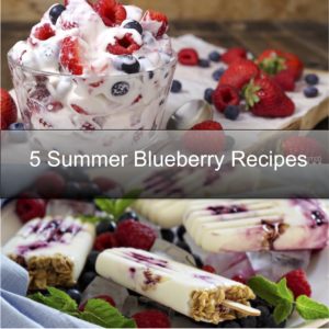 5 summer blueberry recipes