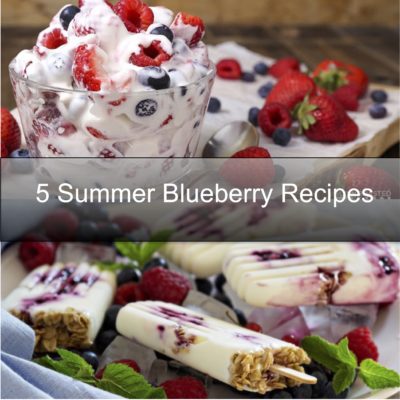 5 Summer Blueberry Recipes You Need to Try