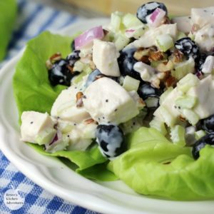 Blueberry Pecan Chicken Salad squ wm