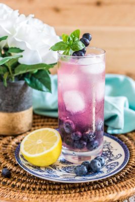 blueberry basil gin fizz