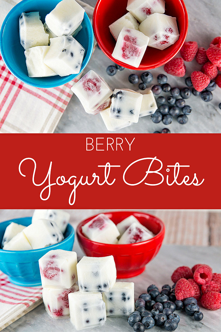 Berry Yogurt Snack Bites