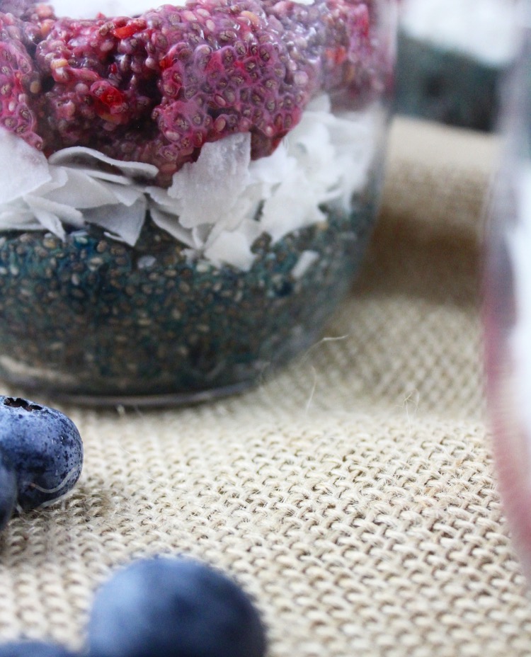 Looking for a patriotic treat that isn't packed with sugar? These sugar and dairy-free Red White Blue Chia Seed Pudding Cups are a beautiful healthy treat crowd pleaser perfect for patriotic parties!