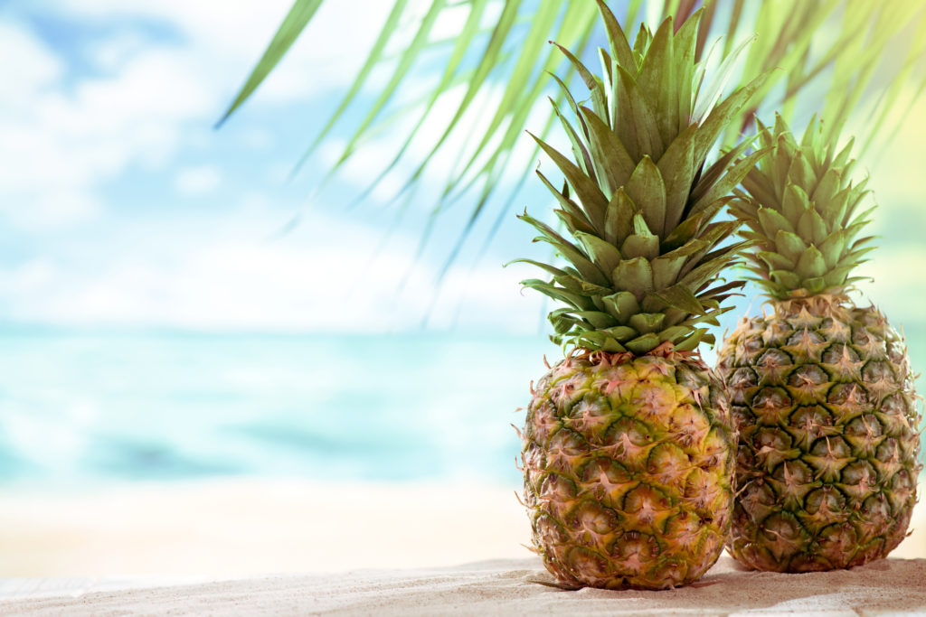 Ever wonder how a Pineapple Grows or its nutritional value? Read all about the jaw-dropping Health Benefits of Pineapple right now!