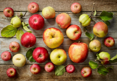 You are going to need this ultimate Definitive Guide to Apples and their uses. We highlight the varieties most common in the United States and the best ways to use them. Everything from baking to canning and eating fresh.