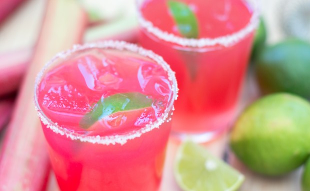Craft these sexy Seasonal Rhubarb Cocktails at home. Skip store bought drink mixes in favor of a cleaner homemade version made with real ingredients.