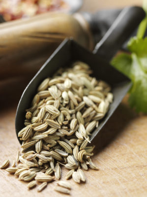You are going to love the benefits of this Fennel Seed Weight Loss Water! The high fiber content is one reason why fennel is well known as a weight-loss aid. Fennel tea, often brewed from the seeds, can relieve digestive discomfort and gas.