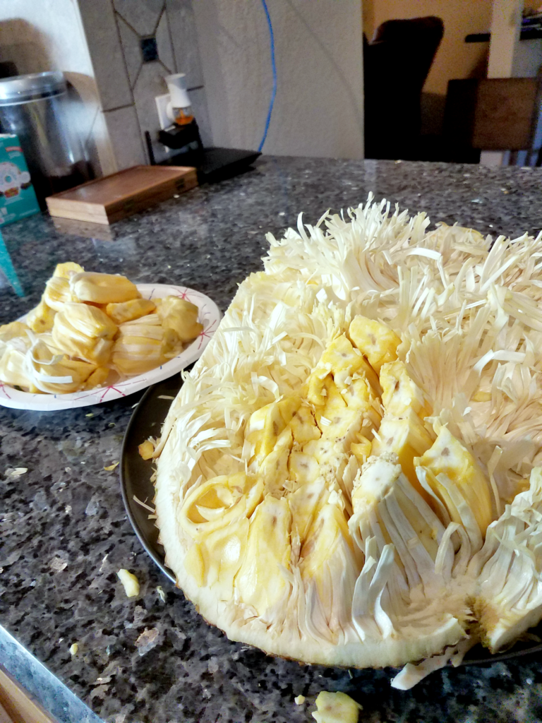 Jackfruit is a trendy farmers market find that's a great healthy snack, dessert ingredient option, or meat alternative, but how do you process it? Learn how to select, cut, store fresh jackfruit right now!