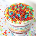 Short on time, but need a dessert with an extra pop of color for an upcoming party? This Magical Rainbow Dessert Trifle is your answer! Simple to make and bursting with the colors of the rainbow, this dessert is sure to be a hit!