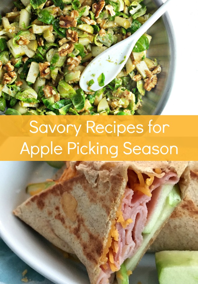 This Apple Picking Season learn about common apple varieties plus the best ways to use them including these delicious, seasonal Savory Recipes.