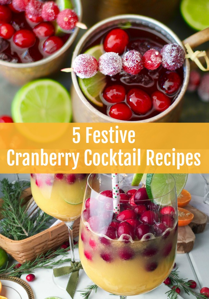 Winter holidays are right around the corner which means it's time to think about entertaining friends and family with refreshing adult beverages like these five festive Cranberry Cocktail Recipes.