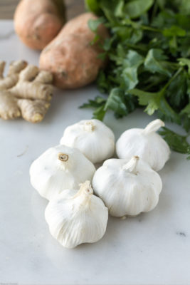 Love garlic? Want to grow your own garlic? Fall to spring is the best season to grow garlic! Growing garlic at home is simple with this Indoor/Outdoor Garlic Growing Guide.