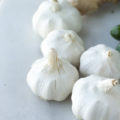 Love garlic? Want to grow your own garlic? Fall to spring is the best season to grow garlic! Growing garlic at home is simple with this Indoor/Outdoor Garlic Growing Guide.