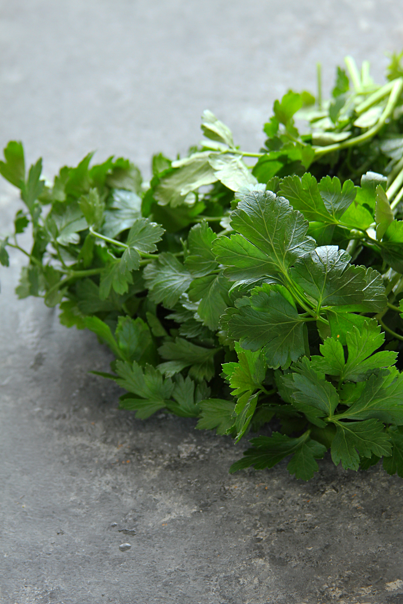 If you're tight on cash, you'll love this simple kitchen hack! Learn the best way to store fresh herbs properly to stretch every dollar when you meal prep and make budget-friendly meals all week long with these money-saving tips.