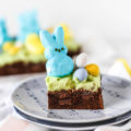 Highlight everyone's favorite Easter candy, Peeps, when you make these Peep-tastic Easter Brownies to impress a crowd. Decadent and rich chocolate chunk brownies topped with classic buttercream icing and your favorite holiday candies!