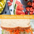 Celebrate warmer weather with a picnic fit for royals! Outdoor entertaining just got more delicious with these 5 Springtime Picnic Recipes. These deli-style meals are packable lunches that are sure to impress.