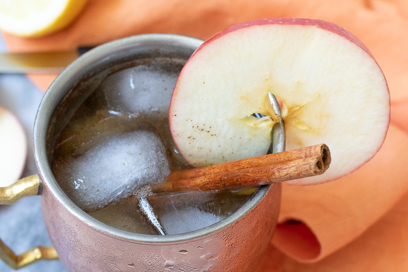 This Fall-Inspired Apple Bourbon Sour is a seasonal twist on the classic whiskey sour. Bourbon, apple juice, lemon juice, and a pinch of cinnamon make the perfect cocktail for happy hour entertaining!