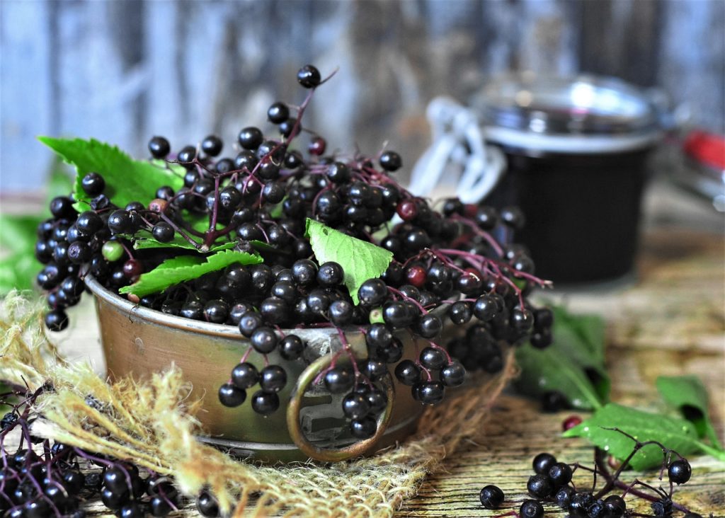 Elderberry health benefits have been on the tip of everyone's tongue for a reason. The berries are loaded with antioxidants and vitamins to boost the immune system. Ease cold and flu symptoms, relieve inflammation, release stress, enjoy heart health, and more with elderberry syrup!