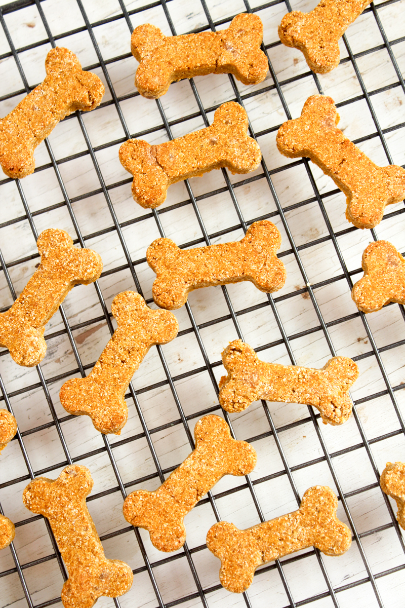 Pamper your pooch with Pumpkin Peanut Butter Dog Biscuits. These 4-ingredient homemade dog treats use wholesome ingredients your pet will love. Get peace of mind treating your pup to preservative-free dog bones.